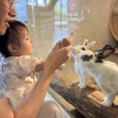 동탄기흥로247번길~동탄산단7,5,1,2길 | 쥬라리움 동탄 주차 및 입장권 할인 방법