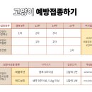 라온펫동물병원 이미지