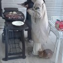 대둔산강변가든 펜션 | [1박2일 단양여행] 사우나 가능한 감성 숙소 추천 남한강뷰 풀빌라 빌라마르디 (시무스위트S)