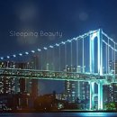 도싯골 본점 | 전주 양갈비 스테이크 맛집, 아트오브램 완전 소개팅 맛집이네