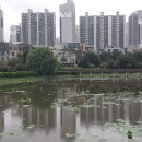 신 태양부양꼬치 이미지