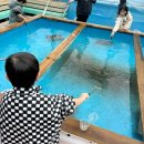 풍경힐링 | 경주 가볼만한곳 국민힐링파크 경주 아이랑 겨울 왕국 풍경에서 놀다 온 후기