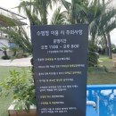 하이구시포펜션