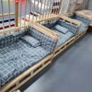 댕댕댕 애견유치원 이미지