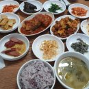백종원 골목식당 공릉동 백반집 경복식당 후기 (기찻길 야채곱창 / 조은밥상 근황)