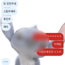 어쩌면 행복은 가까이에
