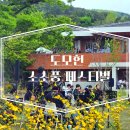 부산 도모헌 소소풍 페스티벌｜가든 클래식 콘서트 관람 후기
