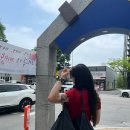 새아침 | 춘천 사주 잘 보는 곳, 춘천 철학원 새아침철학관 솔직 후기