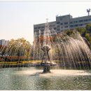 제2경북약국 이미지