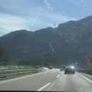 부어치킨 단양매포점 | 너무 더운 8월 보고서