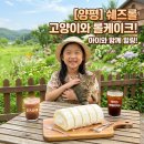 푸른 풀밭과 순둥이 고양이들이 반겨주는 롤케이크 맛집, 양평 '쉐즈롤' 아이와 다녀온 솔직 후기!