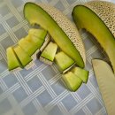 사조참치(김포점) | 그러게 블로그 좀 미리미리 쓰지 그랬어