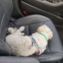 개스트하우스 말2 이미지