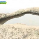 금샘 Daum카페