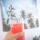 체리빠 이미지