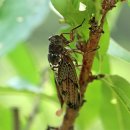 왕성세탁 이미지