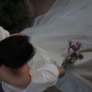 코지포레스트 - 안양시 동안구 학의로 90 | 코지포레스트