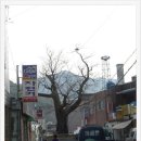 만복초밥 이미지