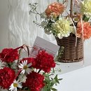 플레르드레브 이미지
