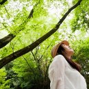 색하나만 바꿔도 마음이 편안해진다 컬러테라피 이미지