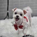 까끌레멍 이미지