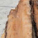 산사나무한의원 이미지