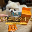 리드독 | 👀 리드독 Keep eat 강아지 눈 영양제 , 루테인 &amp; 오메가3 솔직 후기