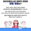 성인 폐렴 초기 및 전염 여부 폐렴 옮나요 이미지