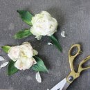 새소망사 이미지