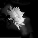 수원-0032 이미지