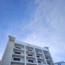 브라운도트 진하해수욕장점 이미지