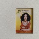 마이리틀메이트 | 10월 일상-下