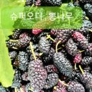능수슈퍼