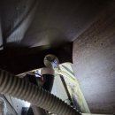 동탄공원로 이미지