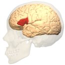 CW-1861-01 이미지