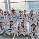 기품있는 태권도장 이미지