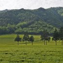 대한농장 이미지