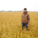 감자 대신 초밥용 밥? 스위스 농업, 기후 변화에 적응하다 이미지