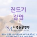 미엘동물병원 이미지