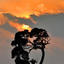 새길주유소 이미지