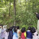 (주)흙과숲