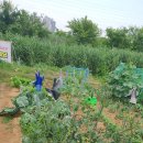 쾌청농장 이미지