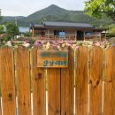 파도마을 삼냥이네 이미지