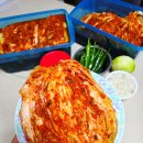 산들바람 | 김장김치주문 양념을 아끼지 않았던 산들바람김치 10kg 후기