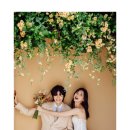 레스스튜디오 이미지
