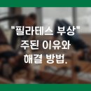 로지샵배곧점 | 정왕동 필라테스 부상을 피하기 위해선