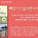 독도전자
