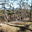 (주)바람난강진