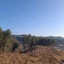 대전둘레산길(9구간) | 방동리 둘레길 산행