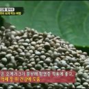 승부오일 이미지